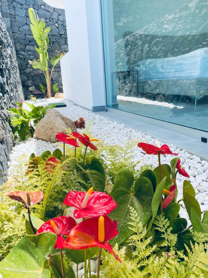 Rocavista - Villa With Heated Rooftop Pool And Amazing Ocean View Costa Adeje  Exteriör bild